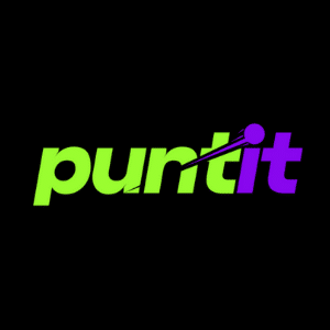 puntit logo